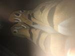 Kitty's and looks