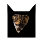 Tortieclan