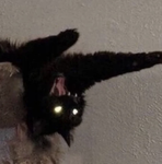 Praise the woermS