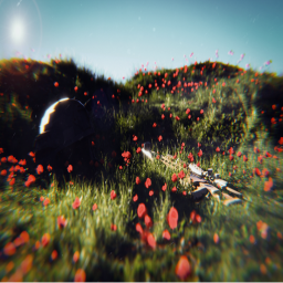 Project-Zeta [12]