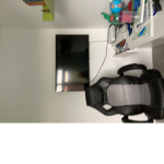 Kip_nl