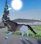 Silverstar stables