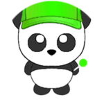 Kid 4 Panda