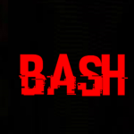 BASH™️