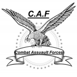 Combat Assuault Forces