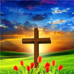 Jesus saved us.