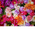 flower..coma