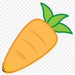 carrot are the best