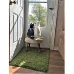 .dh