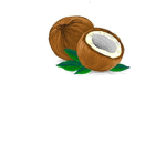The Coconut Studio