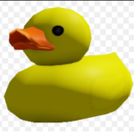 The Very Cool Ducky