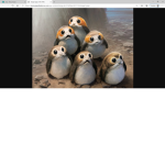 porg porg porg