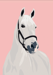 ~Pony adventures~