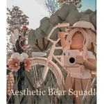 Aestheic Bear Squad!