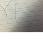 The yes clan yes