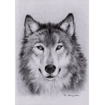 wolves 4 life