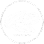 TzProject