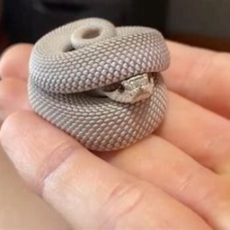 The Snek RP (Snake GAme RP)