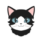 coolpokestud studios