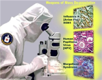 Biological Assasination Team