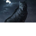 Wolves (Ro-Ghoul)