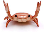SirCrabsAlot