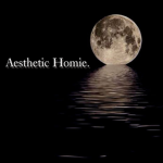 aesthetic homie