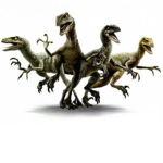Official Raptor Squad of MLGraptorKing
