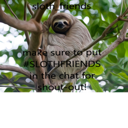 Sloth Hangout