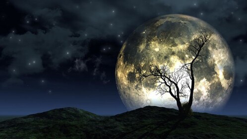 The Rising Moon 🌑 {BETA}