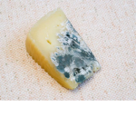 Moldy cheese club