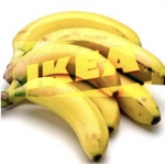 Banana bears house