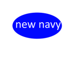 New Navy