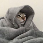 LE Blanket Squad