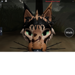 + warrior cat fan club! +