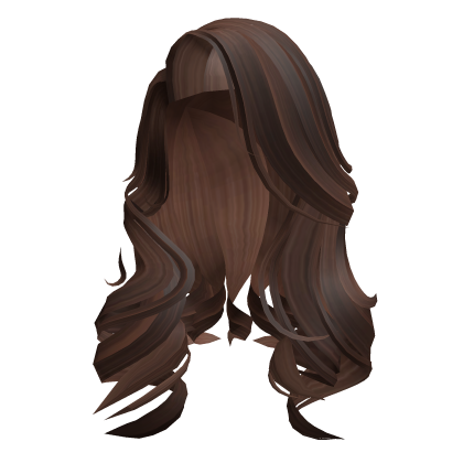 Brown Celebrity Pop Star Curly Hair Roblox item