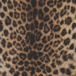 ¡Meows!