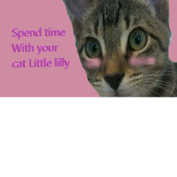 Interact with Lilly