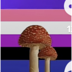 Gay:)