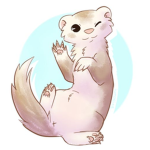 FERRET FAMILEY