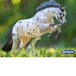 Model horse Community