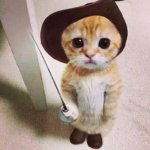 amourr’