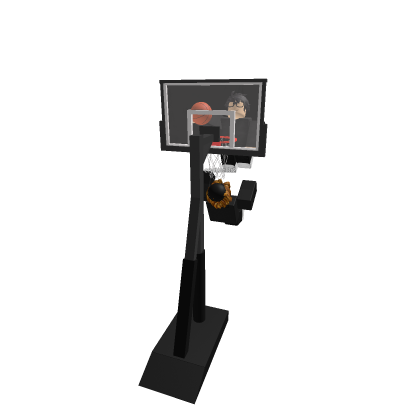 Basketball Dunked  on