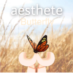 aesthete butterfly’s