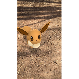 Speed run (obbey)