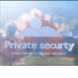 The Royal Horizon Private Security training ground
