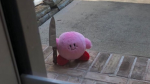 * Kirby *