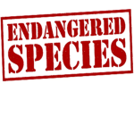 endangeredplayers