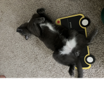 You should be of your work for Kitty