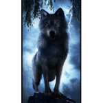Wolf gruppe;Blut